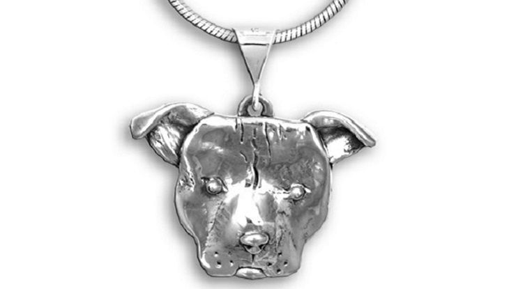 A Pit Bull Puppy to Wear!