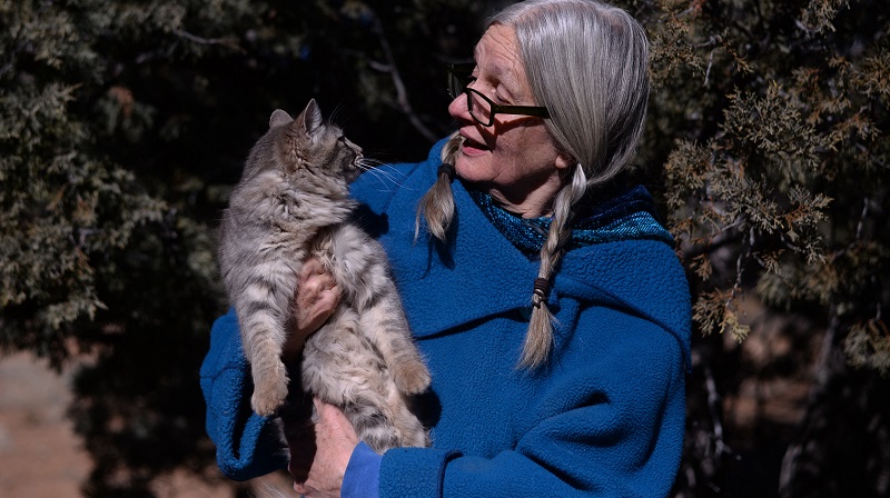 Grand kitties, Pack Rats and our New Mexico Winter