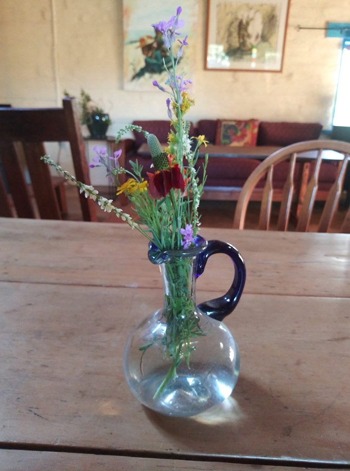 New Mexico Wild flowers